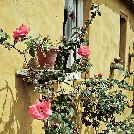 Guest house Margarida's Place Mafra